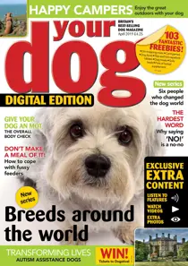 Your Dog Magazine April 2019 
                issue Your Dog Magazine April 2019