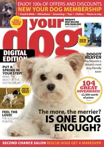 Your Dog FREE Sample Issue