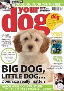 Your Dog Magazine April 2021 
                issue Your Dog Magazine April 2021