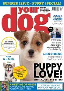 Your Dog Magazine April 2022 
                issue Your Dog Magazine April 2022