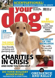 Your Dog Magazine April 2023 
                issue Your Dog Magazine April 2023