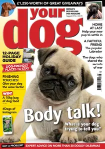 Your Dog Magazine August 2016 
                issue Your Dog Magazine August 2016