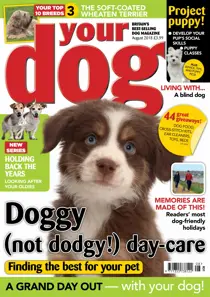 Your Dog Magazine August 2018 
                issue Your Dog Magazine August 2018