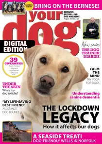 Your Dog Magazine August 2020 
                issue Your Dog Magazine August 2020