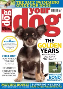 Your Dog Magazine August 2022 
                issue Your Dog Magazine August 2022