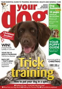 Your Dog Magazine December 2013 
                issue Your Dog Magazine December 2013