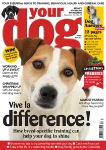 Your Dog Magazine December 2014 
                issue Your Dog Magazine December 2014