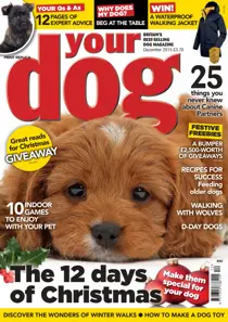 Your Dog Magazine December 2015 
                issue Your Dog Magazine December 2015