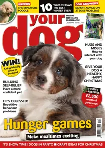 Your Dog Magazine December 2016 
                issue Your Dog Magazine December 2016