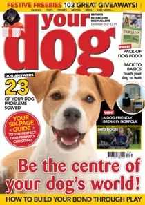 Your Dog Magazine December 2017 
                issue Your Dog Magazine December 2017
