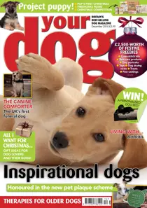 Your Dog Magazine December 2018 
                issue Your Dog Magazine December 2018