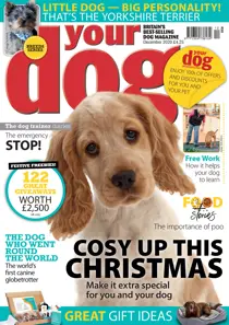 Your Dog Magazine December 2020 
                issue Your Dog Magazine December 2020