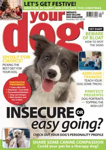 Your Dog Magazine December 2021 
                issue Your Dog Magazine December 2021
