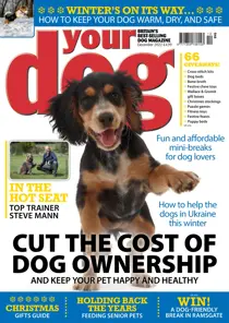 Your Dog Magazine December 2022 
                issue Your Dog Magazine December 2022