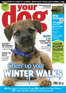 Your Dog Magazine February 2013 
                issue Your Dog Magazine February 2013
