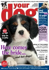 Your Dog Magazine February 2014 
                issue Your Dog Magazine February 2014