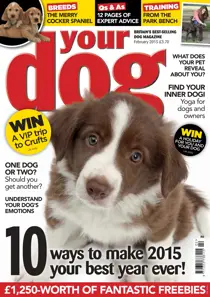 Your Dog Magazine February 2015 
                issue Your Dog Magazine February 2015