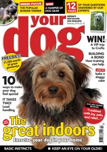 Your Dog Magazine February 2016 
                issue Your Dog Magazine February 2016