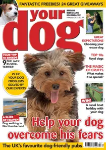 Your Dog Magazine February 2018 
                issue Your Dog Magazine February 2018
