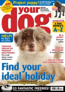 Your Dog Magazine February 2019 
                issue Your Dog Magazine February 2019