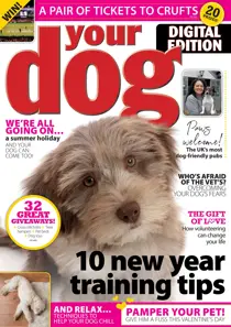 Your Dog Magazine February 2020 
                issue Your Dog Magazine February 2020