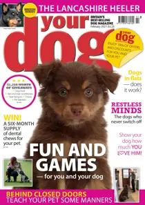 Your Dog Magazine February 2021 
                issue Your Dog Magazine February 2021