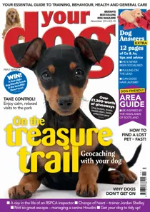 Your Dog Magazine FREE SAMPLE ISSUE 
                issue Your Dog Magazine FREE SAMPLE ISSUE