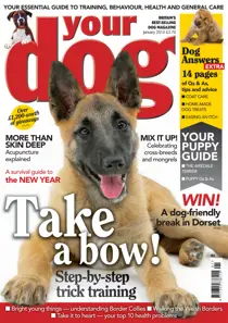 Your Dog Magazine January 2014 
                issue Your Dog Magazine January 2014