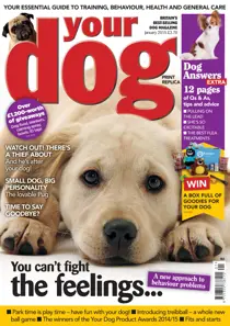 Your Dog Magazine January 2015 
                issue Your Dog Magazine January 2015