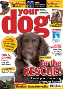 Your Dog Magazine January 2018 
                issue Your Dog Magazine January 2018