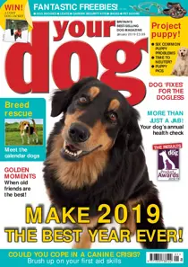 Your Dog Magazine January 2019 
                issue Your Dog Magazine January 2019