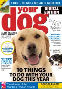 Your Dog Magazine January 2020 
                issue Your Dog Magazine January 2020