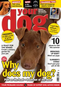Your Dog Magazine July 2015 
                issue Your Dog Magazine July 2015