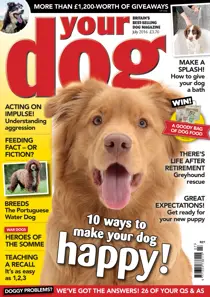 Your Dog Magazine July 2016 
                issue Your Dog Magazine July 2016