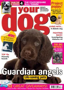 Your Dog Magazine July 2018 
                issue Your Dog Magazine July 2018
