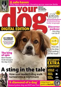 Your Dog Magazine July 2019 
                issue Your Dog Magazine July 2019