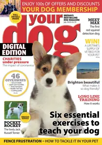 Your Dog Magazine July 2020 
                issue Your Dog Magazine July 2020