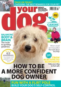 Your Dog Magazine July 2021 
                issue Your Dog Magazine July 2021