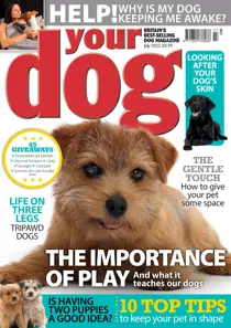 Your Dog Magazine July 2022 
                issue Your Dog Magazine July 2022