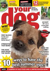 Your Dog Magazine June 2016 
                issue Your Dog Magazine June 2016