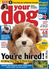 Your Dog Magazine June 2018 
                issue Your Dog Magazine June 2018