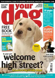 Your Dog Magazine March 2013 
                issue Your Dog Magazine March 2013