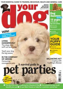 Your Dog Magazine March 2014 
                issue Your Dog Magazine March 2014