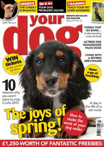 Your Dog Magazine March 2015 
                issue Your Dog Magazine March 2015