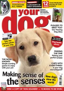 Your Dog Magazine March 2016 
                issue Your Dog Magazine March 2016