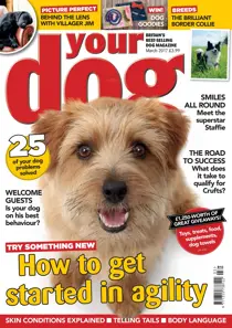 Your Dog Magazine March 2017 
                issue Your Dog Magazine March 2017