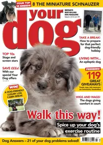 Your Dog Magazine March 2018 
                issue Your Dog Magazine March 2018