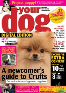 Your Dog Magazine March 2019 
                issue Your Dog Magazine March 2019