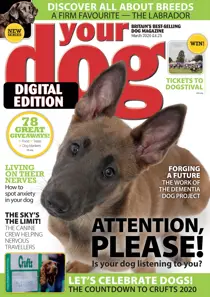 Your Dog Magazine March 2020 
                issue Your Dog Magazine March 2020