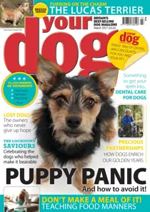Your Dog Magazine March 2021 
                issue Your Dog Magazine March 2021